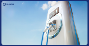 EV Charging Station Cables