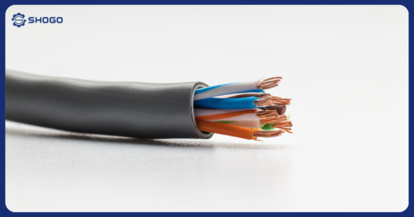 EV Charging Cables: What’s the Difference Between AC and DC?
